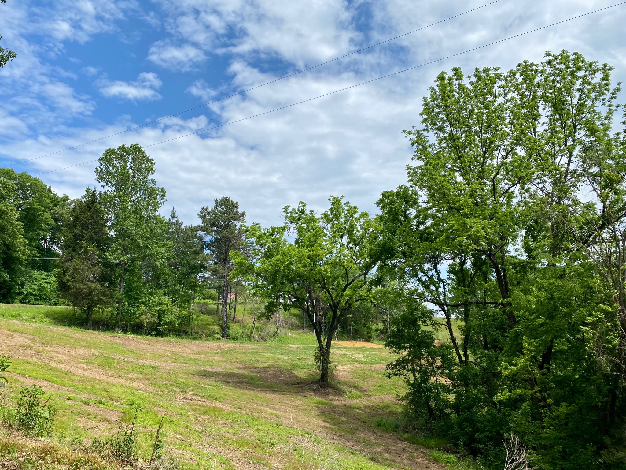 3756 Jefferson Road Smithville, TN 37166 - Photo 5 of 18 Gallery Image 5