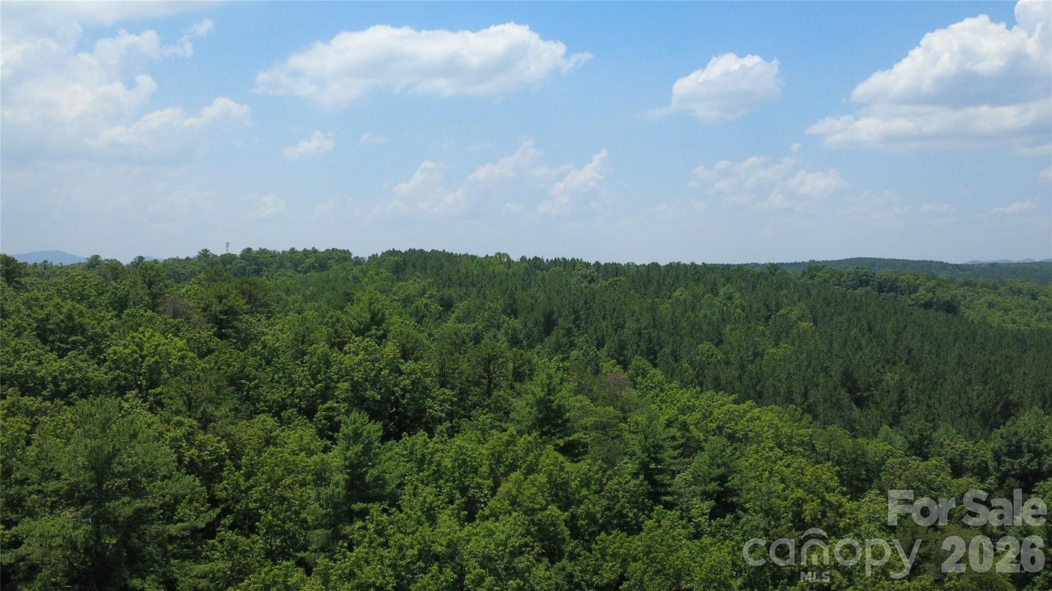 4691 Snowhill Church Road Morganton, NC 28655 - Photo 17 of 27 Gallery Image 17