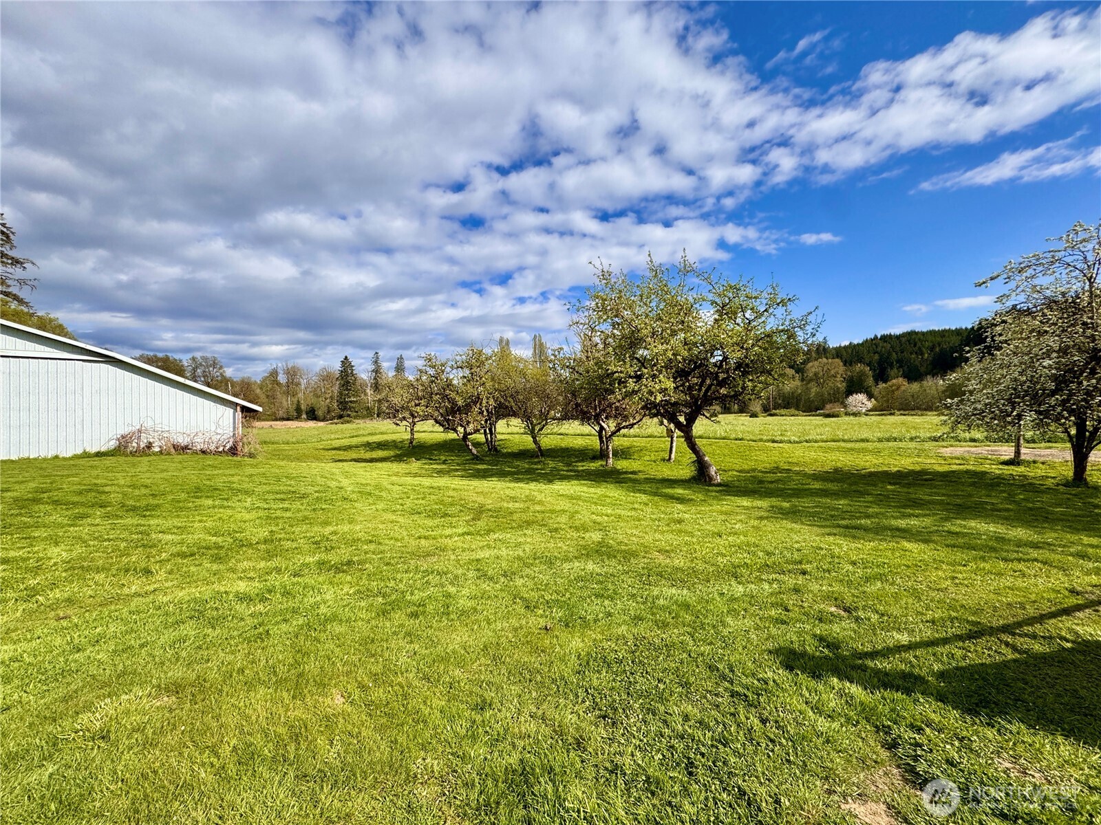 5010 West Skokomish Valley Road Shelton, WA 98584 - Photo 10 of 40