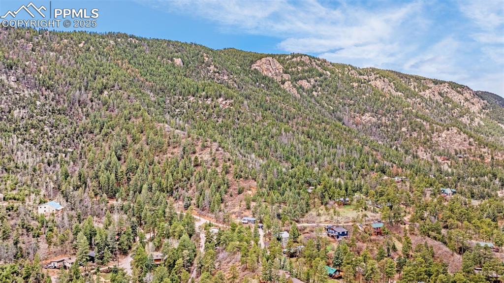 9515 Mountain Road Cascade, CO 80809 - Photo 34 of 34 a view of a field