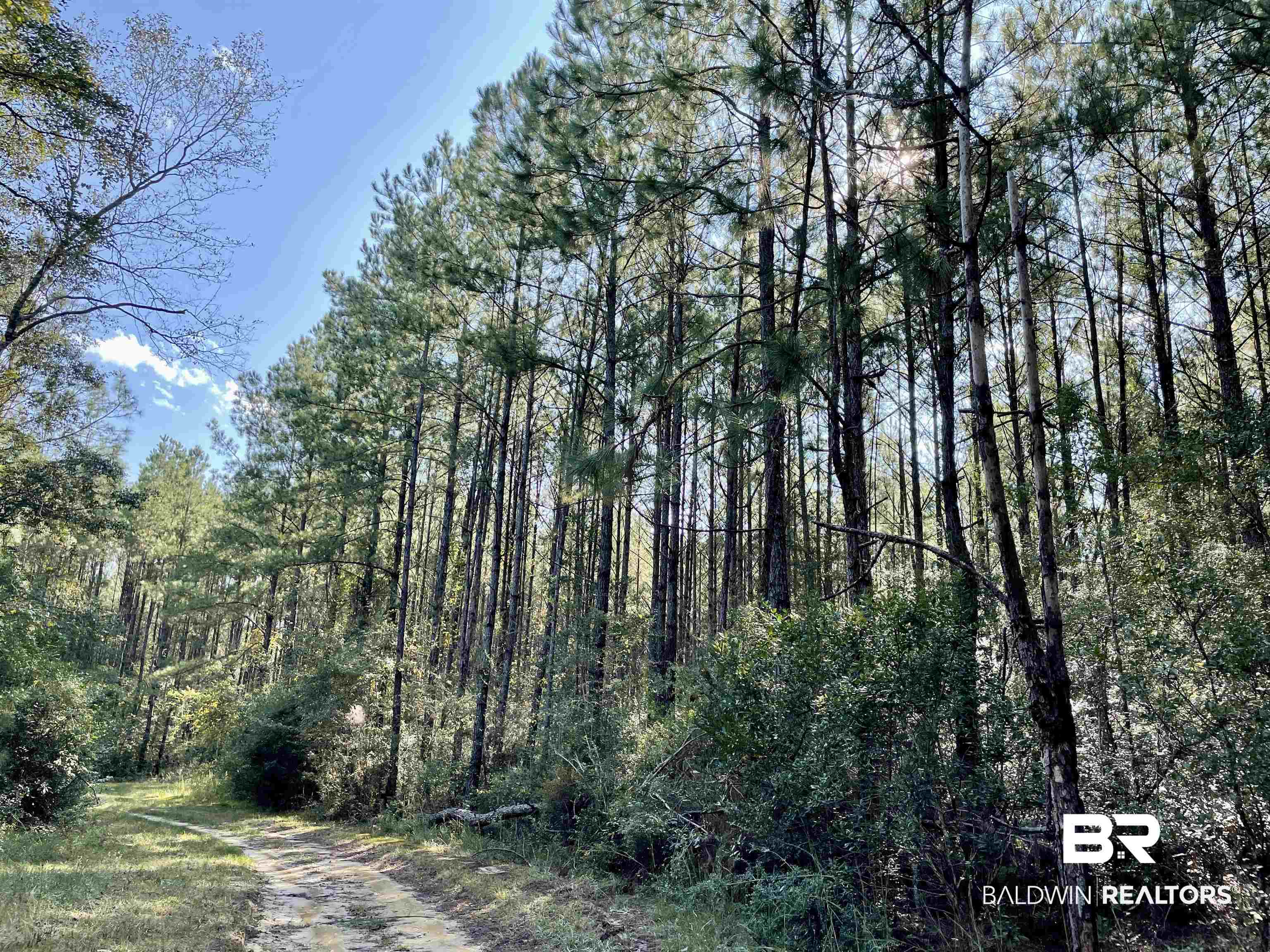 0 Country Road Vinegar Bend, AL 36584 - Photo 25 of 46