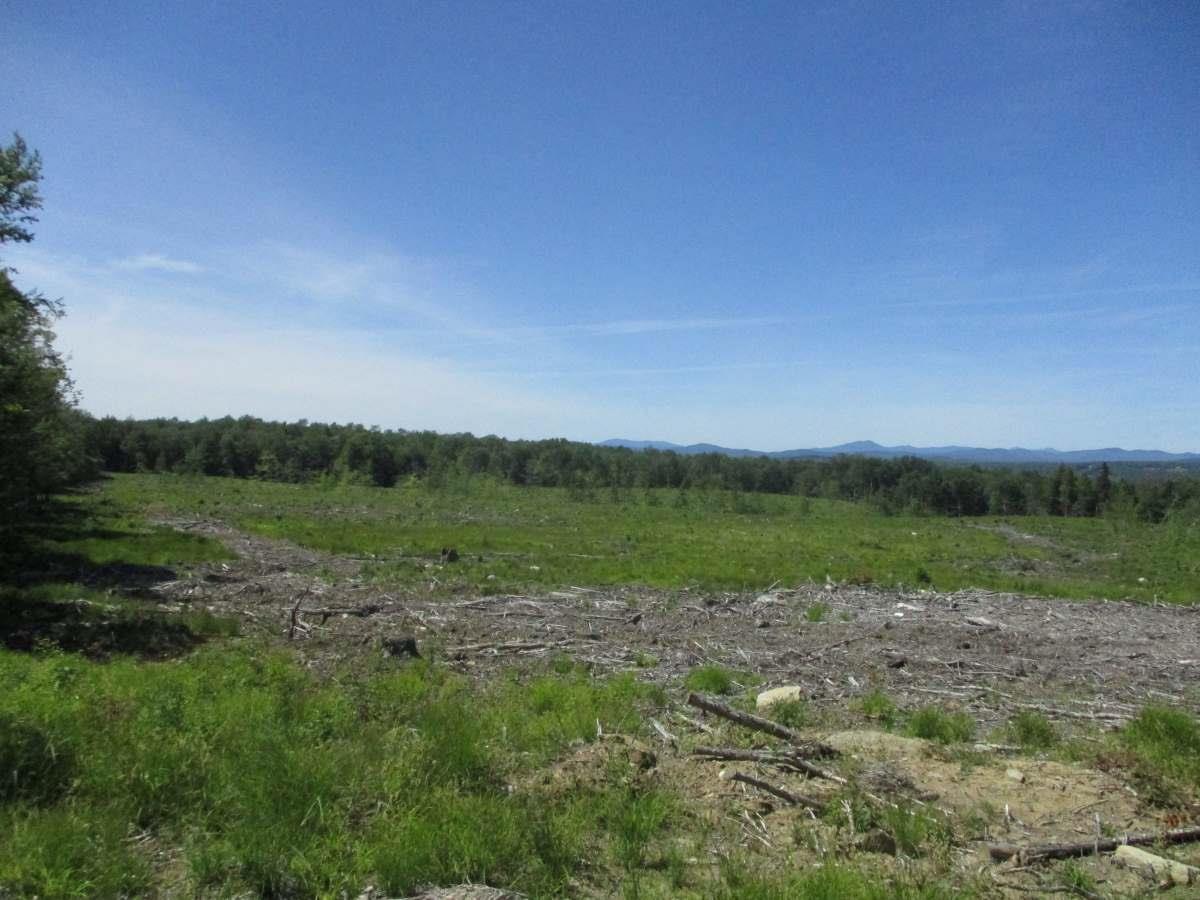 0 Buffalo Mountain Road Hardwick, VT 05843 - Photo 1 of 7