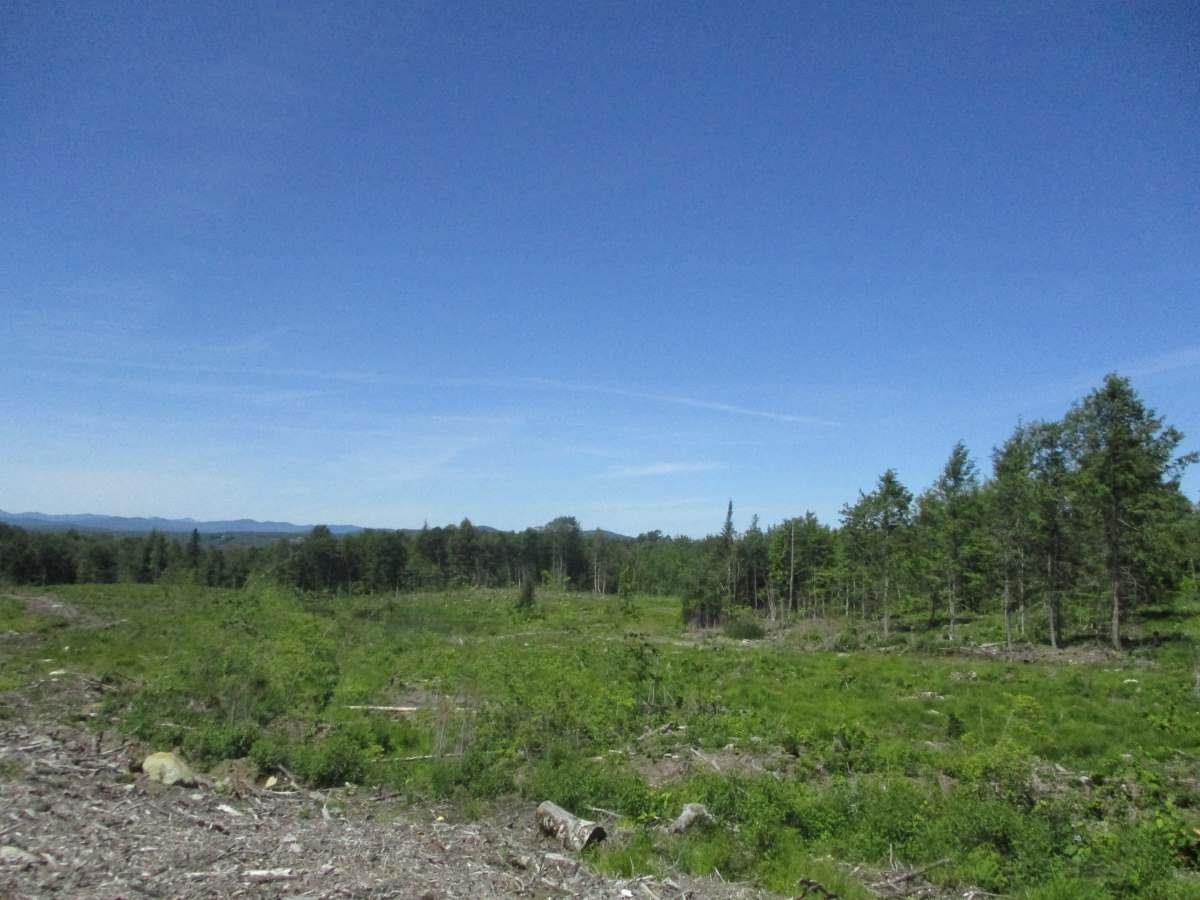 0 Buffalo Mountain Road Hardwick, VT 05843 - Photo 2 of 7