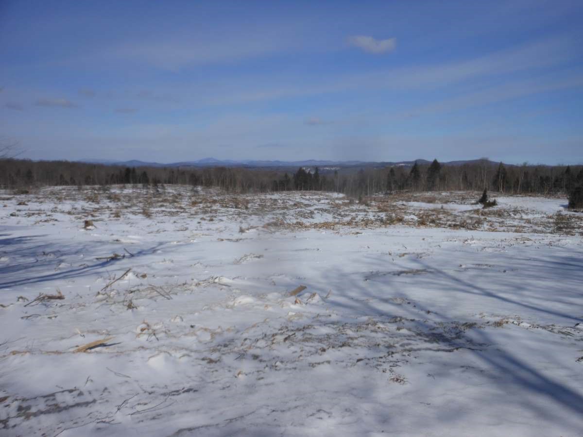 0 Buffalo Mountain Road Hardwick, VT 05843 - Photo 7 of 7