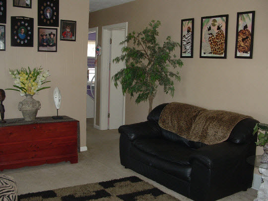 902 Woolf Court Rochelle, IL 61068 - Photo 2 of 6 a living room with furniture and a potted plant