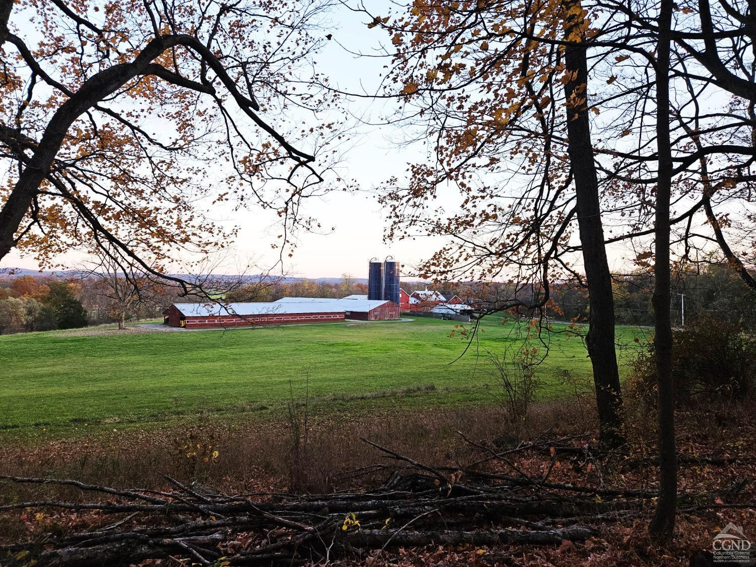 274 Fingar Road Hudson, NY 12534 - Photo 42 of 77 Farm from woods