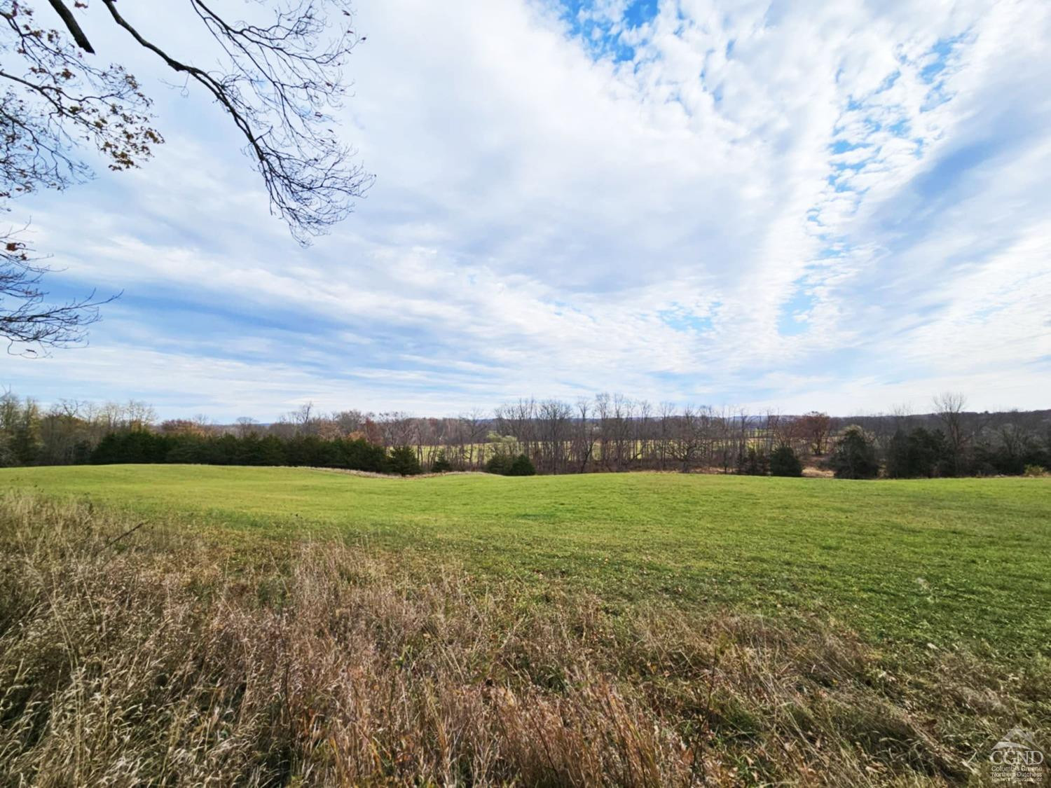 274 Fingar Road Hudson, NY 12534 - Photo 43 of 77 Back Field