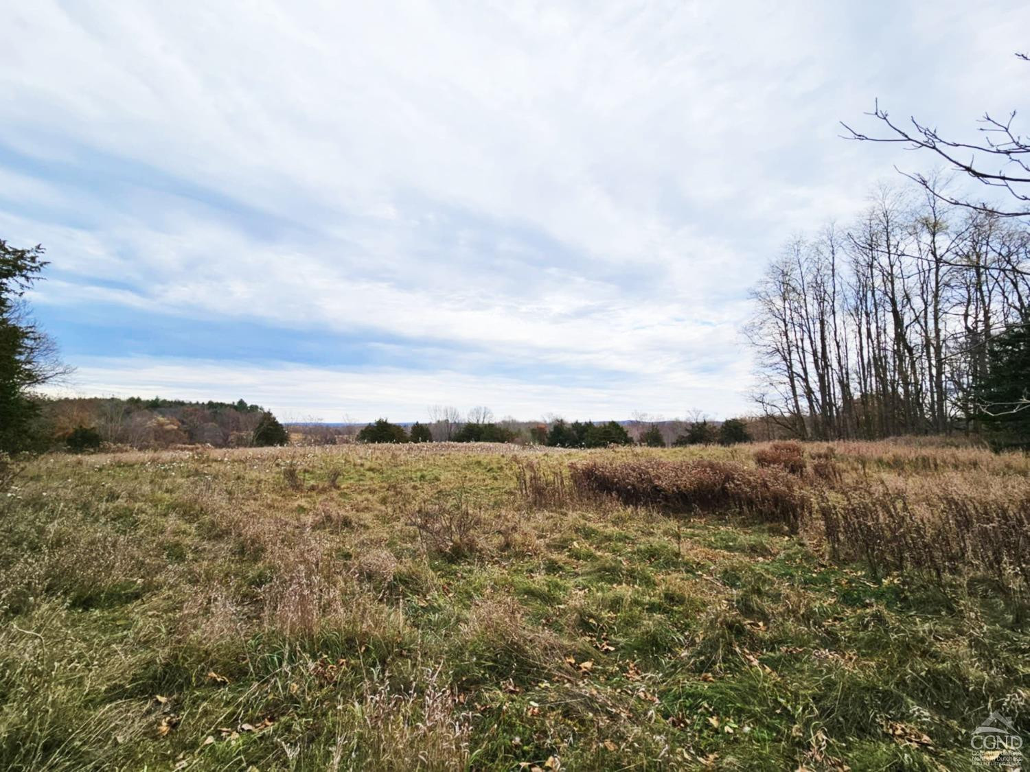 274 Fingar Road Hudson, NY 12534 - Photo 46 of 77 Back Field #2