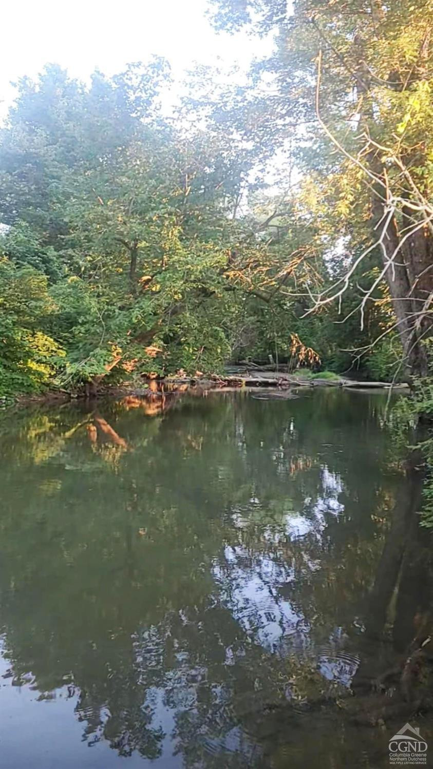 274 Fingar Road Hudson, NY 12534 - Photo 50 of 77 Mud Creek