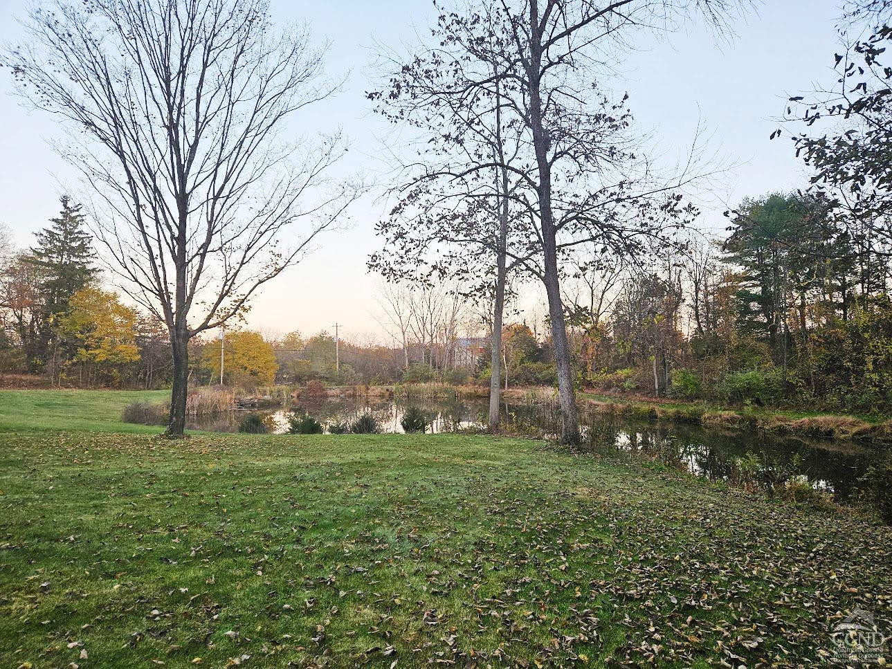 274 Fingar Road Hudson, NY 12534 - Photo 53 of 77 Pond