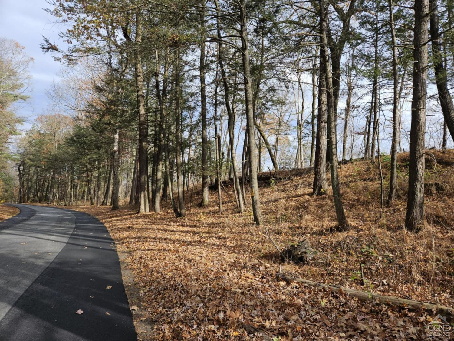 274 Fingar Road Hudson, NY 12534 - Photo 54 of 77 Woods along Hiscox Rd.
