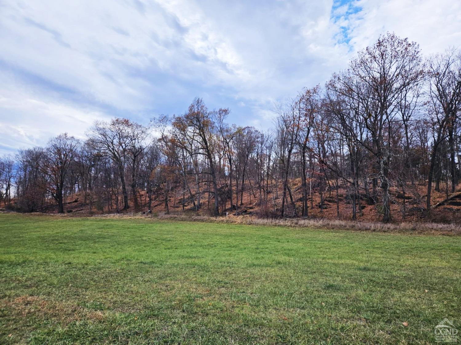 274 Fingar Road Hudson, NY 12534 - Photo 58 of 77 Woods from Field