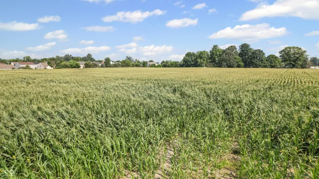 $1,089,200 | 1-0 North S R 39, Monrovia, IN 46157