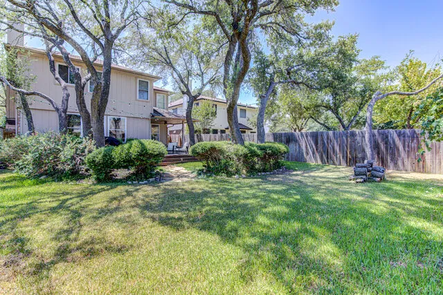 a view of a backyard with plants and large tree