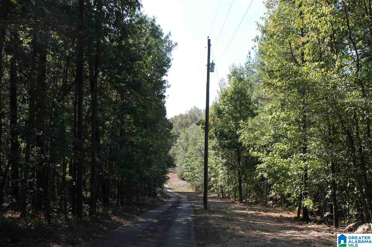 628 Wolf Pond Road Talladega, AL 35160 - Photo 50 of 50