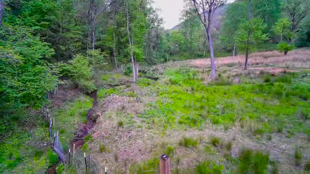 3325 Pack Mountain Road Murphy, NC 28906 - Photo 59 of 69