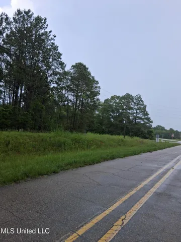 $75,000 | 0 Lavelle Ladner Road, Lumberton, MS 39455
