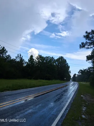 $75,000 | 0 Lavelle Ladner Road, Lumberton, MS 39455
