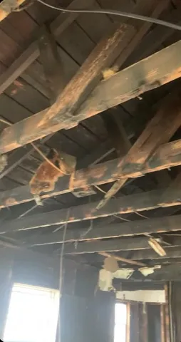 $45,000 | 1223 Preston Street, Waco, TX 76704