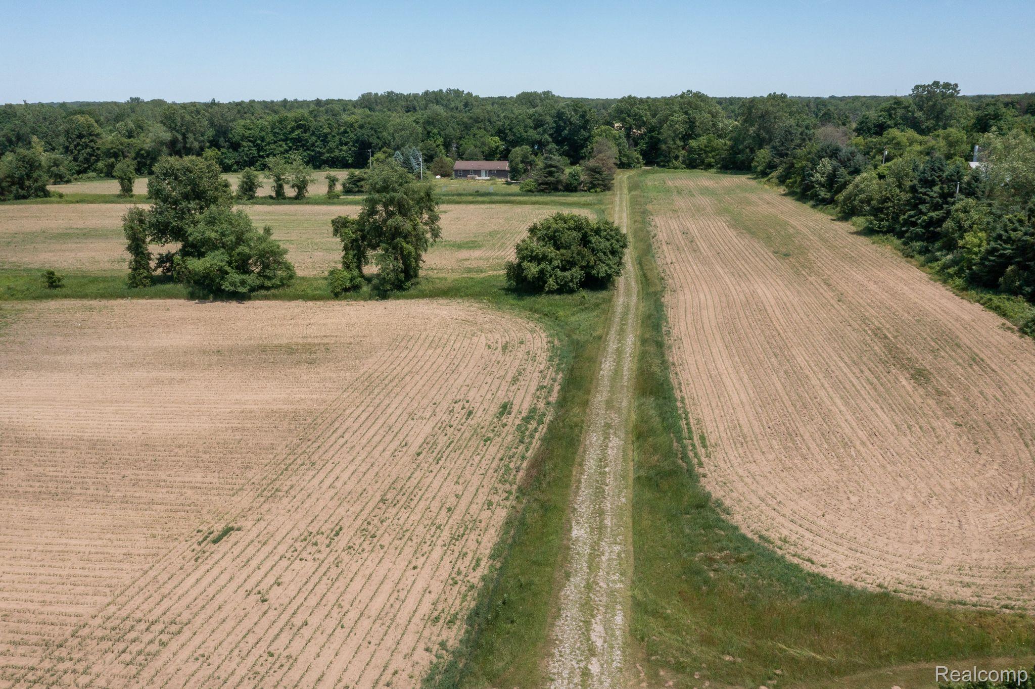 15204 Bishop Road Byron, MI 48418 - Photo 31 of 38 Driveway