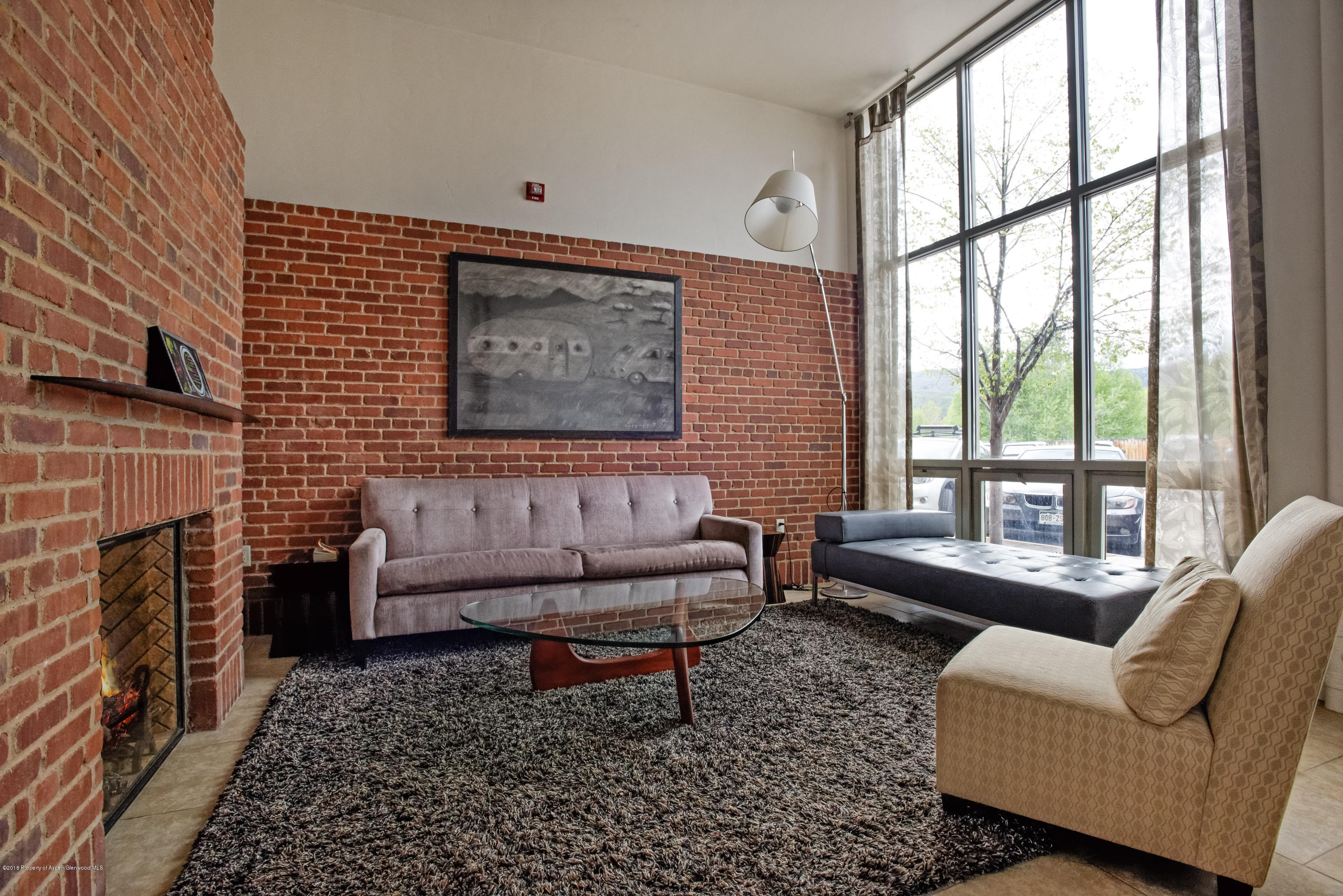 231 Robinson Street, Unit 200 Basalt, CO 81621 - Photo 9 of 19 Entry Reception