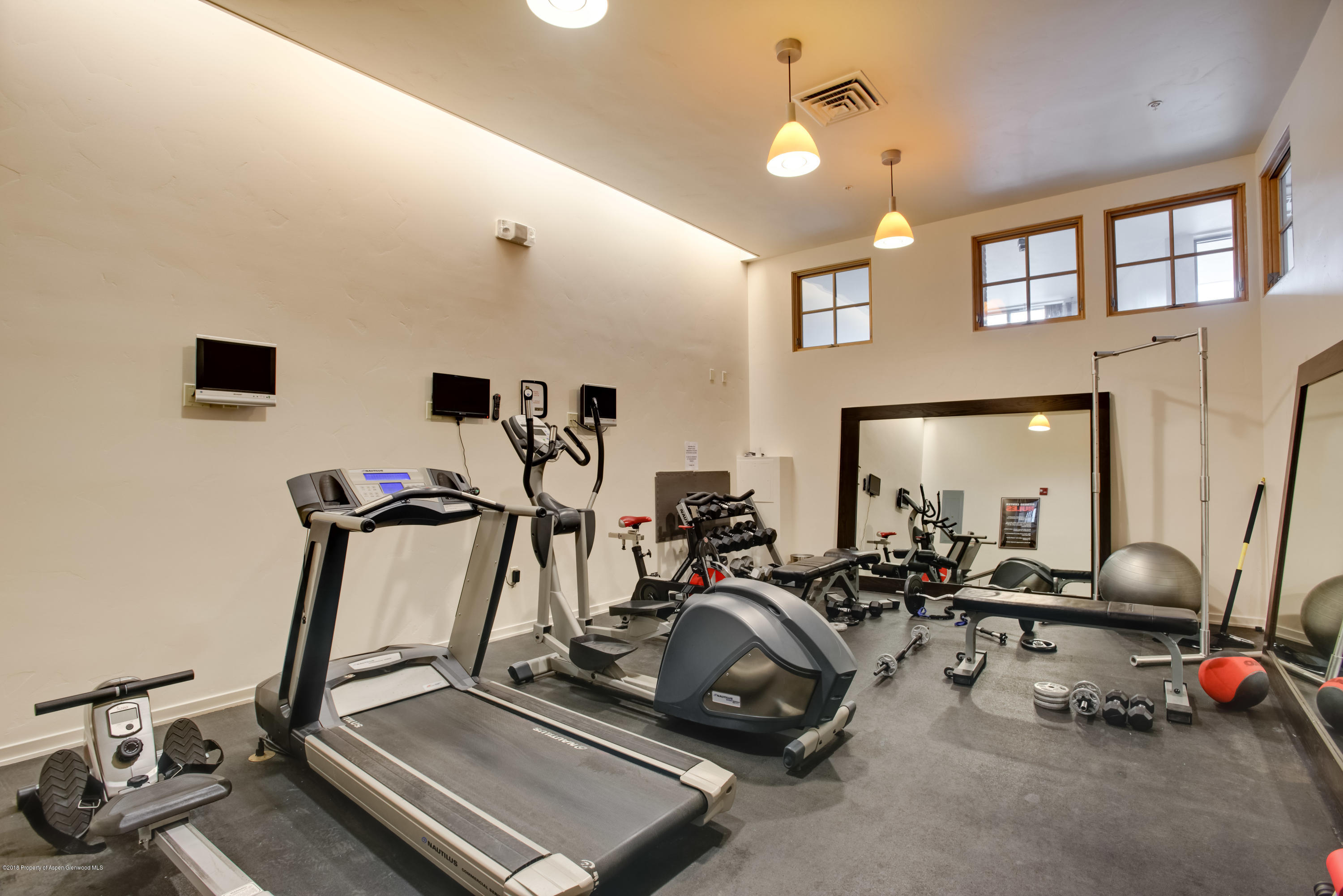 231 Robinson Street, Unit 200 Basalt, CO 81621 - Photo 10 of 19 Gym Facilities