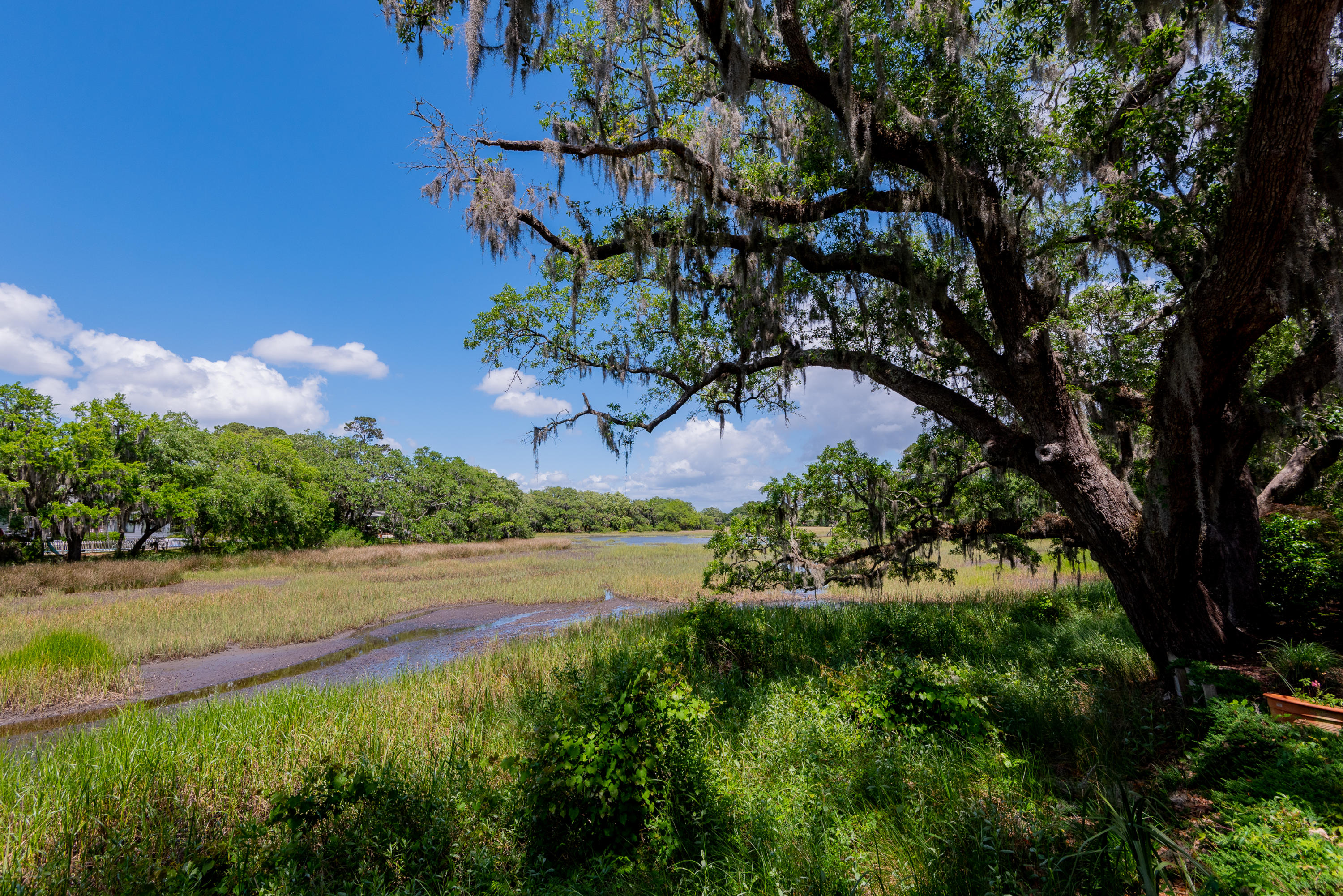 909 Cotton House Road Charleston, SC 29412 - Photo 14 of 34 909 Cotton House