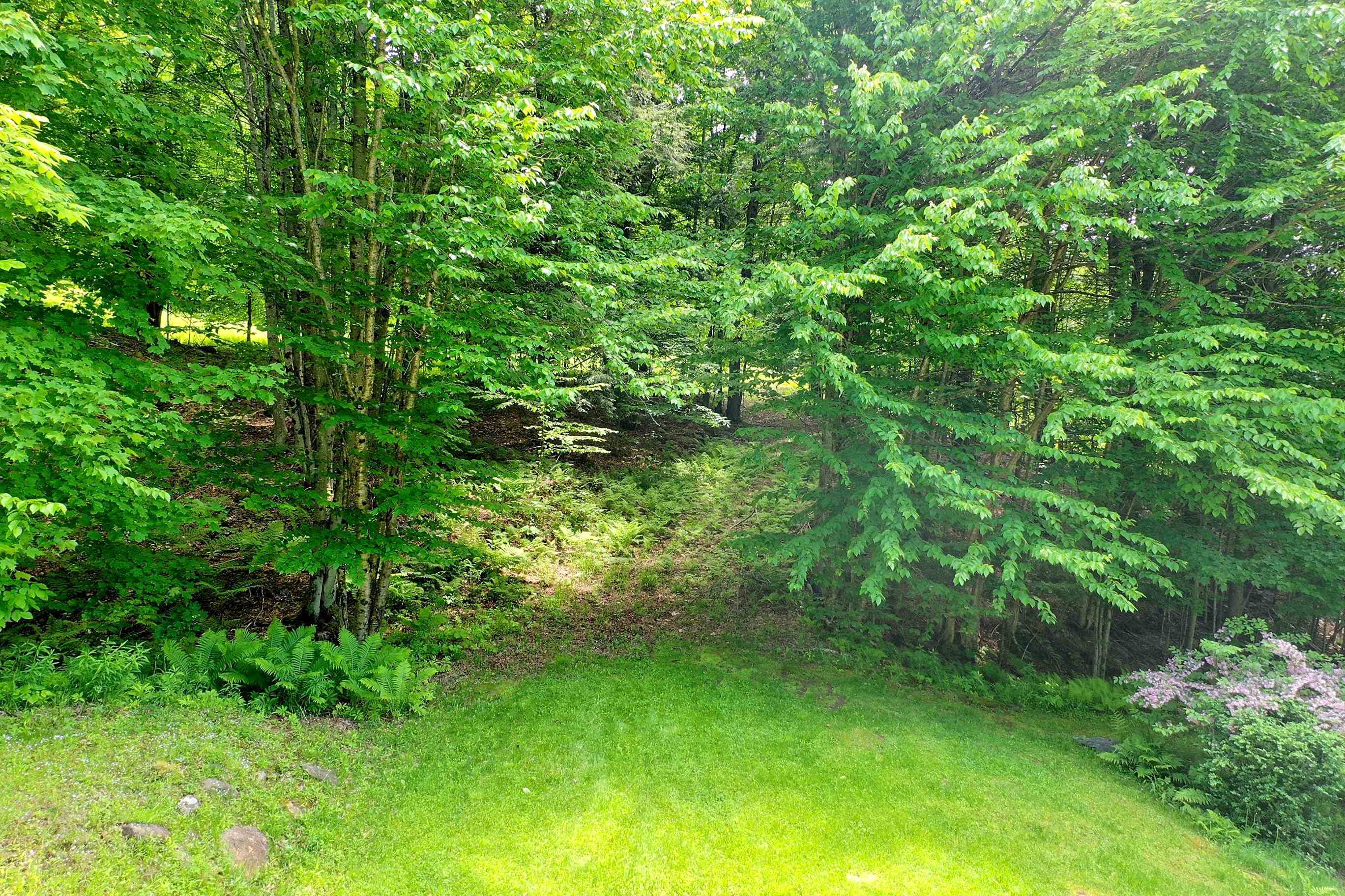 0 East Lake Road Ludlow, VT 05149 - Photo 21 of 21 Gallery Image 21