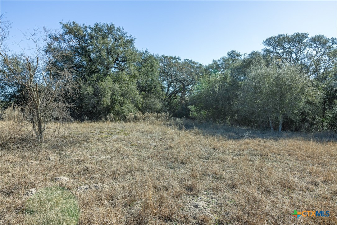 0 Lakeside Trail Inez, TX 77968 - Photo 3 of 18