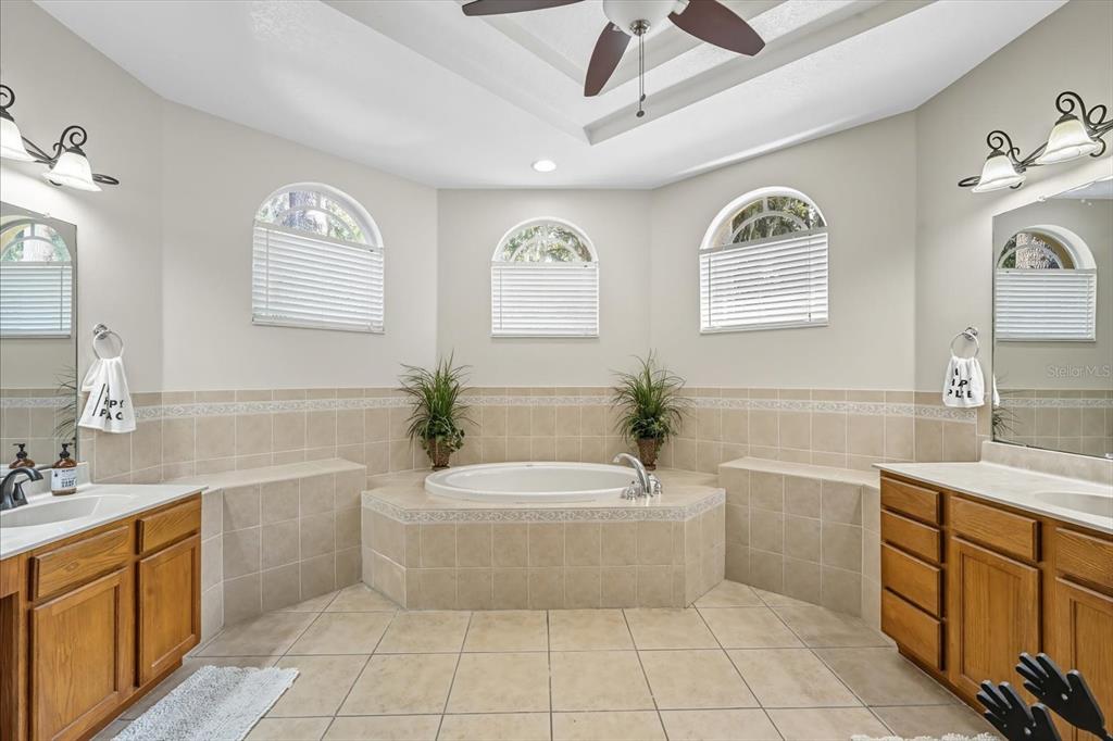 6107 Ibispark Drive Lithia, FL 33547 - Photo 16 of 42 a bathroom with a tub sink and mirror