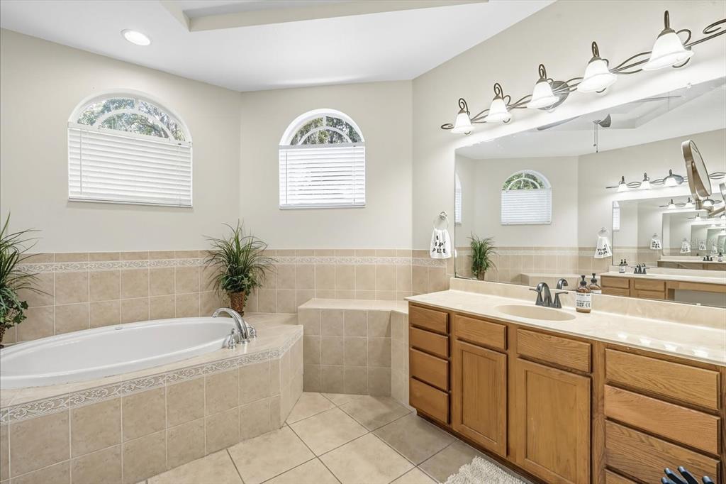 6107 Ibispark Drive Lithia, FL 33547 - Photo 17 of 42 a bathroom with a tub a sink and mirror