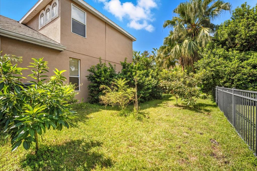 6107 Ibispark Drive Lithia, FL 33547 - Photo 32 of 42 a backyard of a house with lots of green space