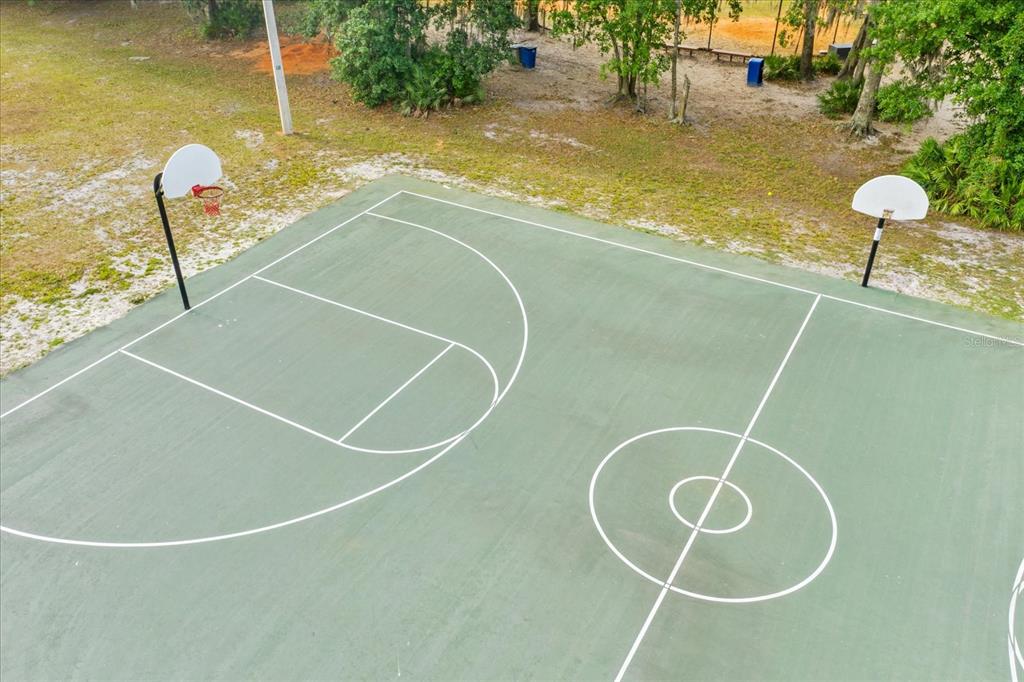 6107 Ibispark Drive Lithia, FL 33547 - Photo 42 of 42 a view of a swimming pool