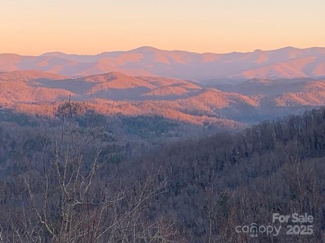85 Ridge Road Rosman, NC 28772 - Photo 45 of 48