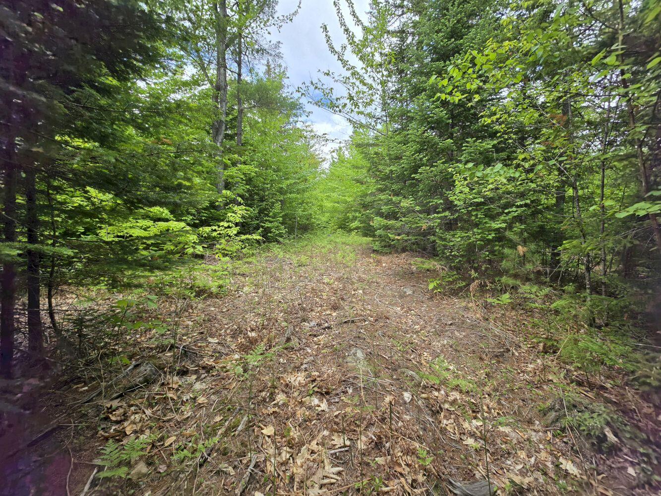 Lot 10 Staples Pond Road Temple, ME 04984 - Photo 17 of 56 20260528_130901_result