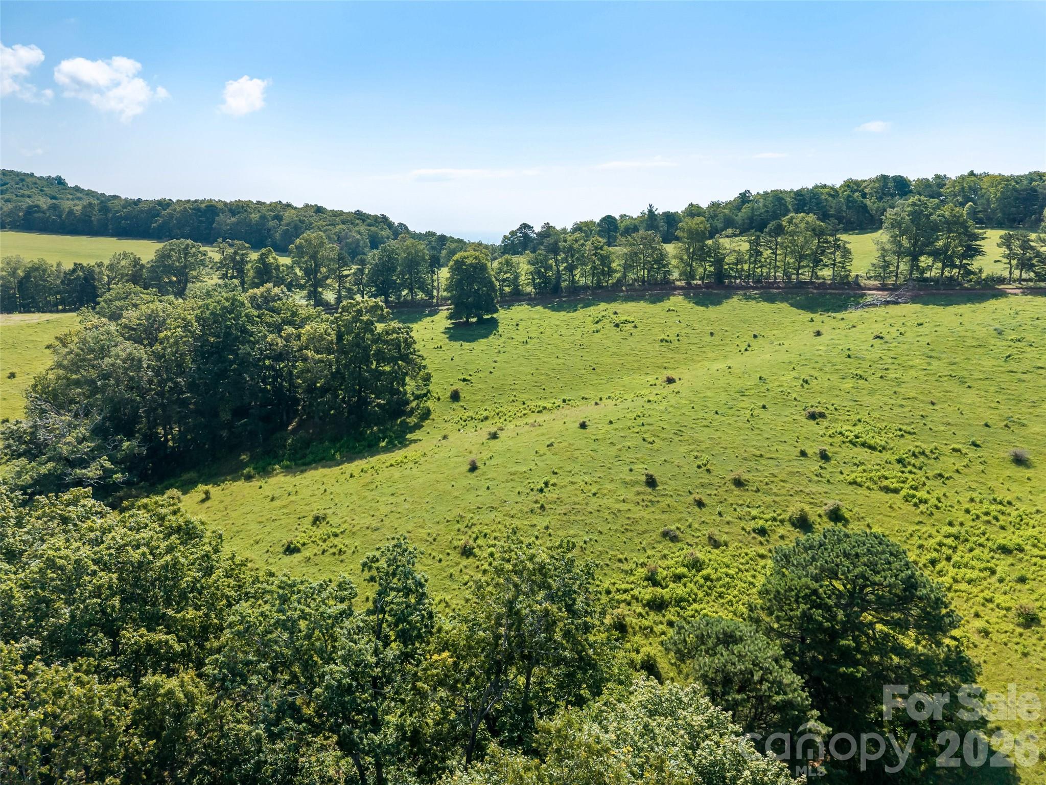 0 Summer Road, Unit 4 Hendersonville, NC 28792 - Photo 2 of 19 Gallery Image 2