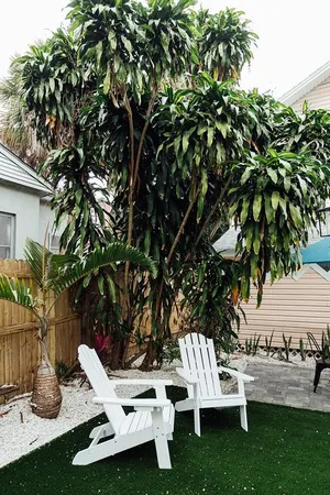 a view of a house with backyard porch and sitting area