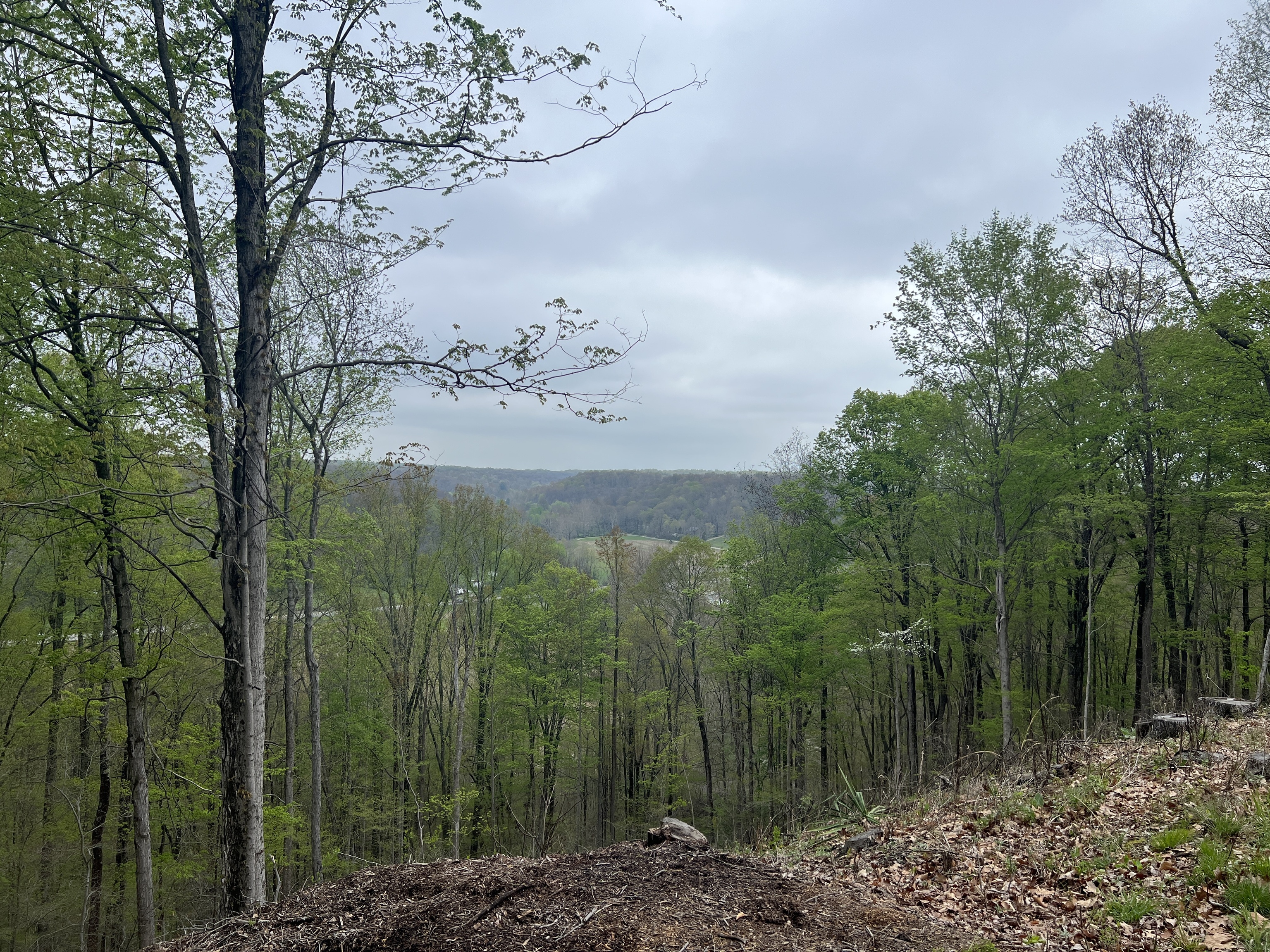 6420 Justins Ridge Road Nashville, IN 47448 - Photo 4 of 11