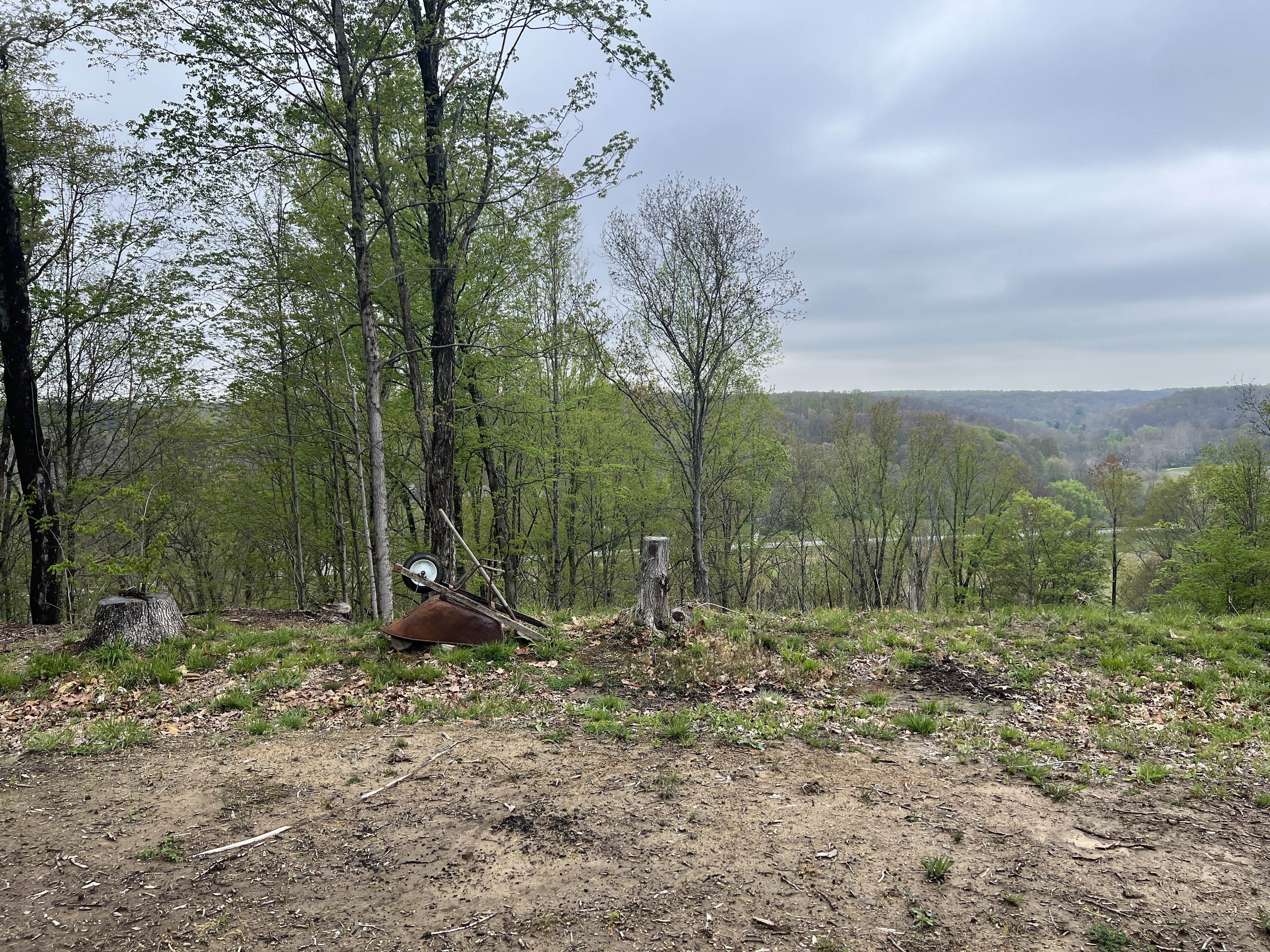 6420 Justins Ridge Road Nashville, IN 47448 - Photo 5 of 11