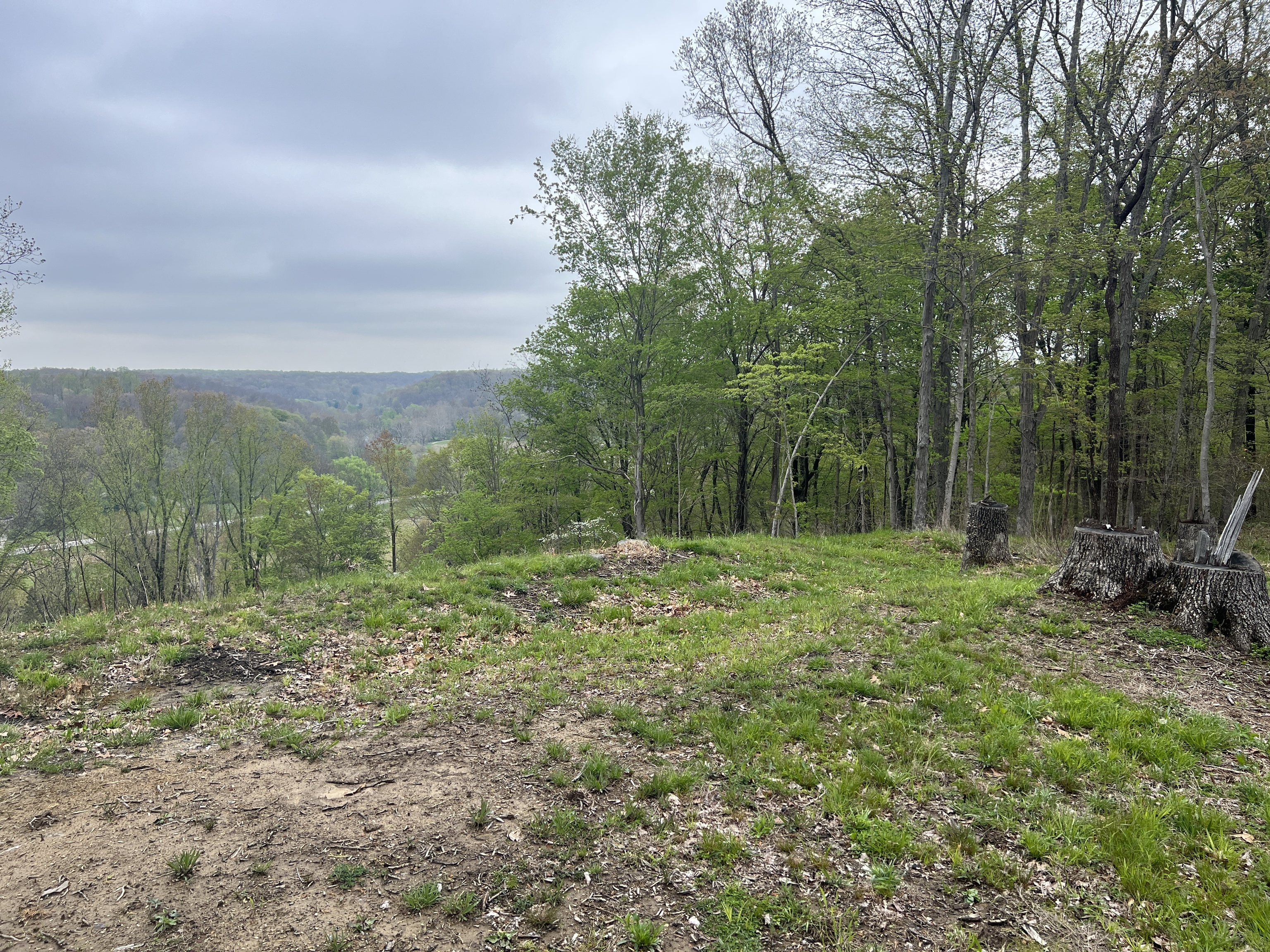 6420 Justins Ridge Road Nashville, IN 47448 - Photo 7 of 11