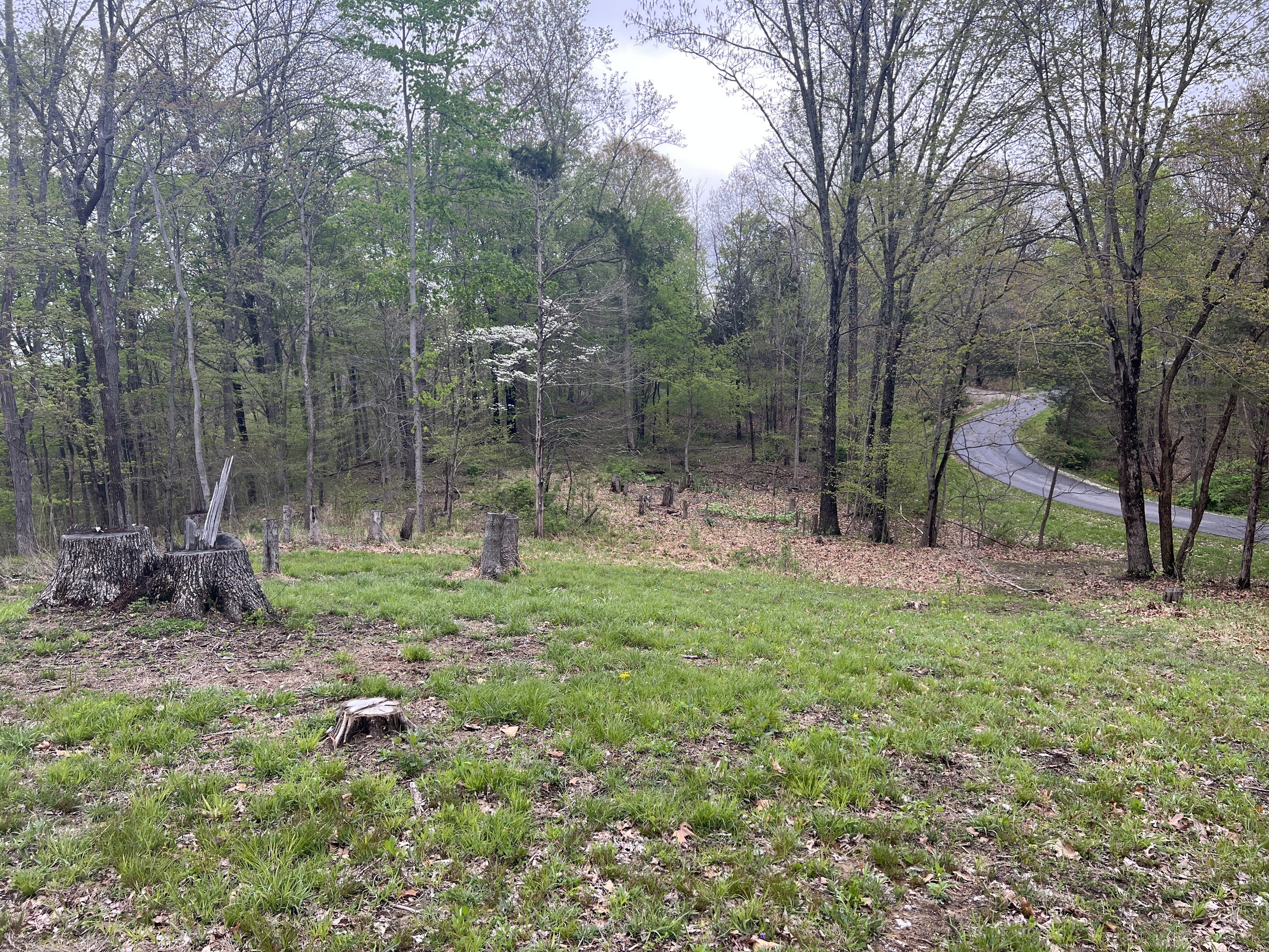 6420 Justins Ridge Road Nashville, IN 47448 - Photo 9 of 11