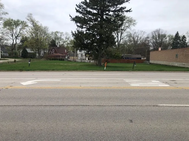 a wooden bench with trees in the background