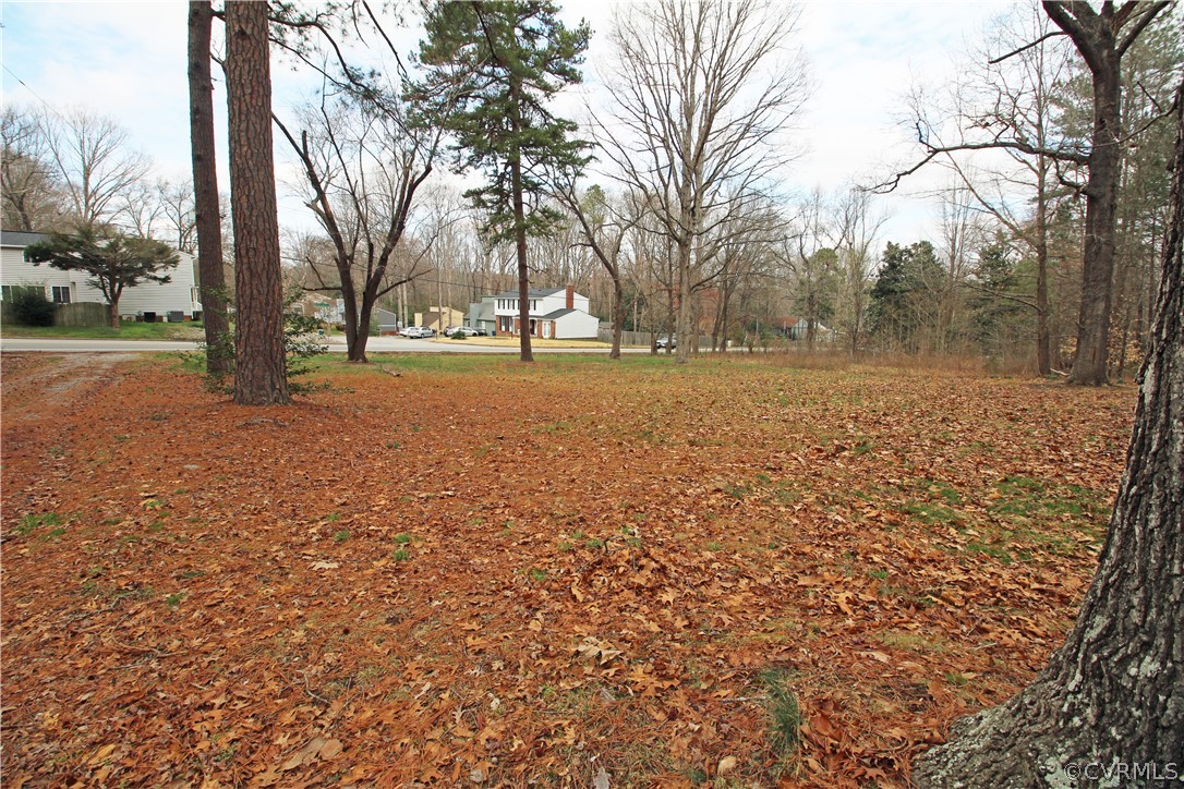 12821 Old Buckingham Road Midlothian, VA 23113 - Photo 47 of 50 a view of yard with trees