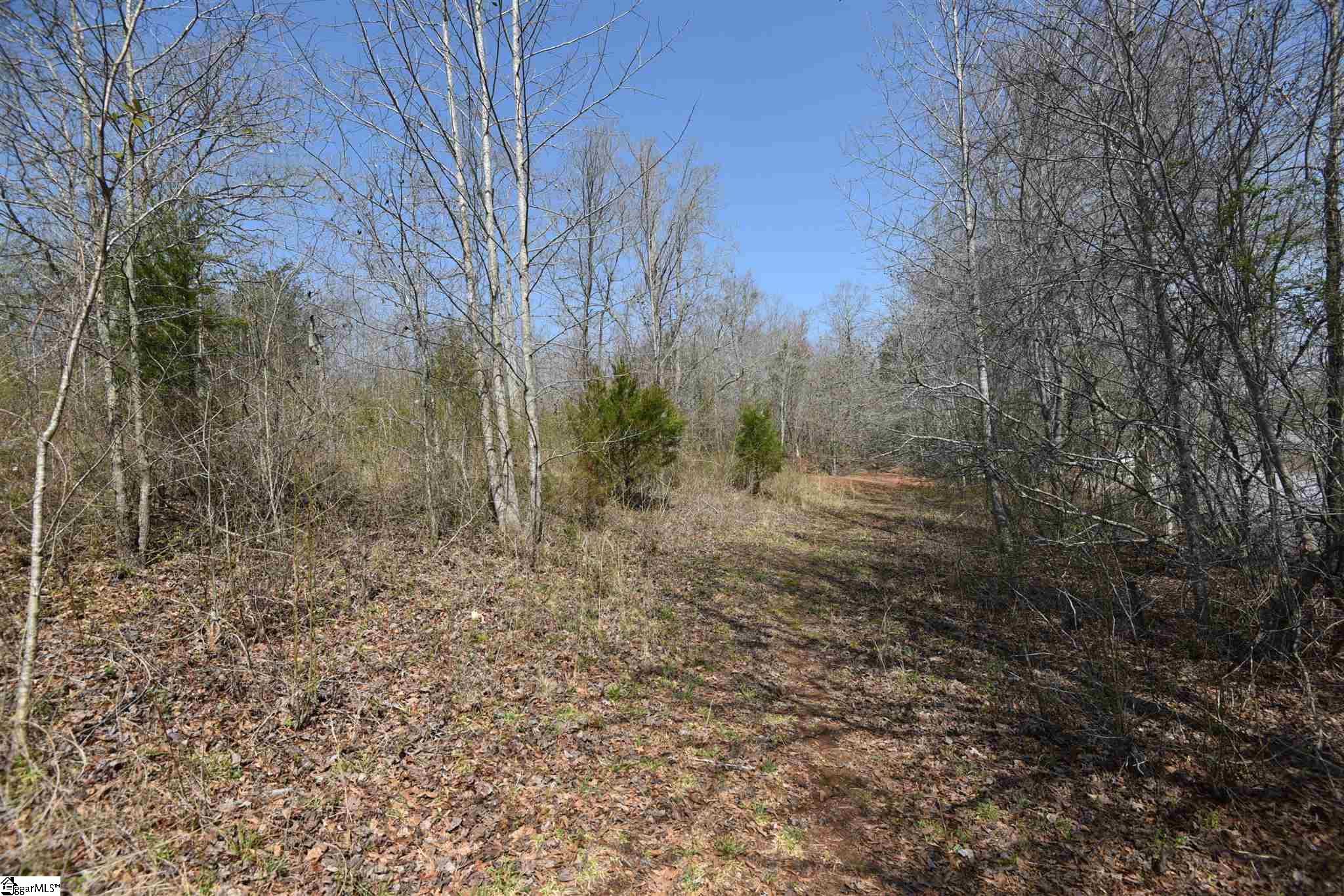 116 Gum Springs Road Greer, SC 29651 - Photo 7 of 12