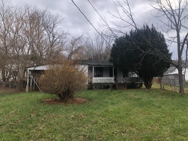 a view of a backyard with plants and a large tree