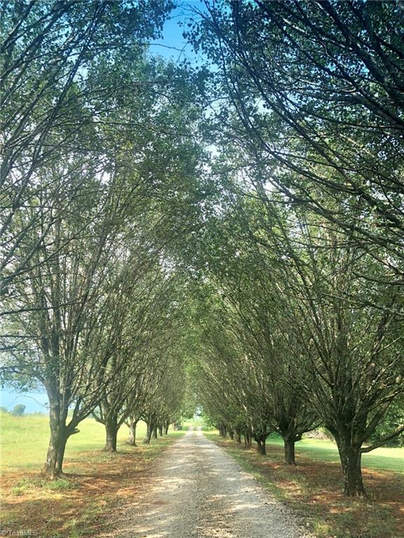 4650 Finch Farm Road Trinity, NC 27370 - Photo 3 of 11
