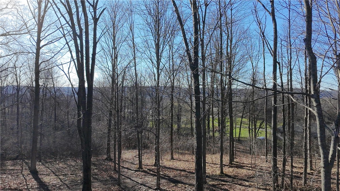 475 Kelly Hill Road Orange, NY 14815 - Photo 48 of 50