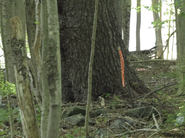 $72,900 | 225 Waldo Avenue, Belfast, ME 04915