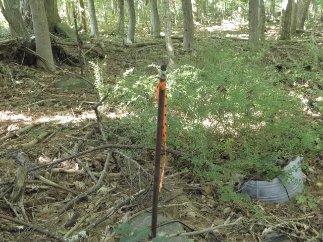 $72,900 | 225 Waldo Avenue, Belfast, ME 04915