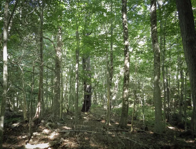 $72,900 | 225 Waldo Avenue, Belfast, ME 04915